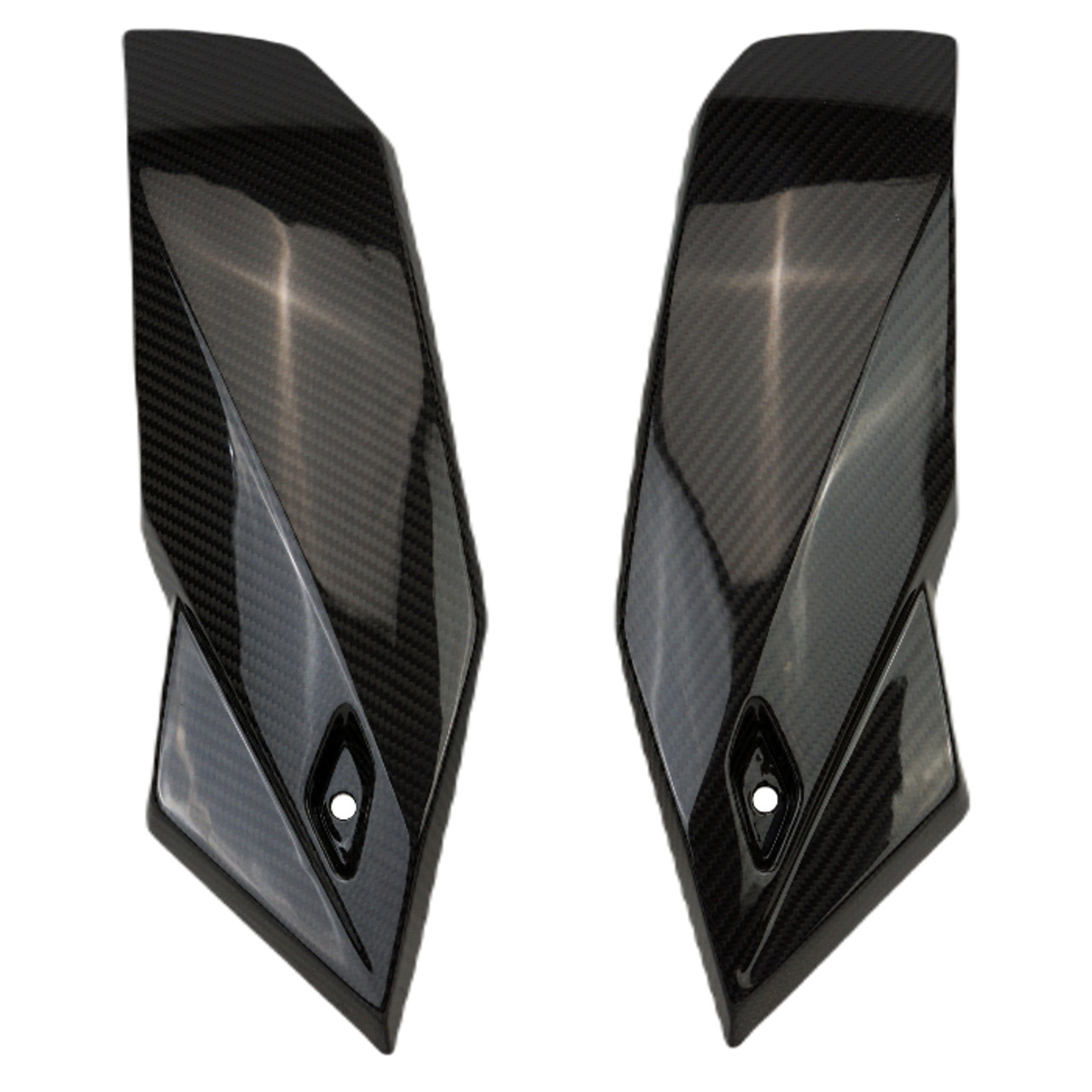 Lower Side Panels in Glossy Twill Weave Carbon Fiber for BMW S1000R 2021+