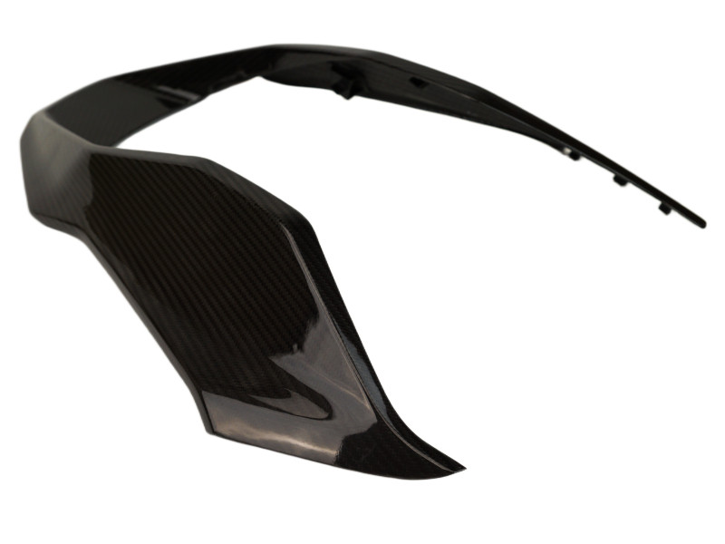 Front Nose in Glossy Twill Weave Carbon Fiber for BMW R1300GS 