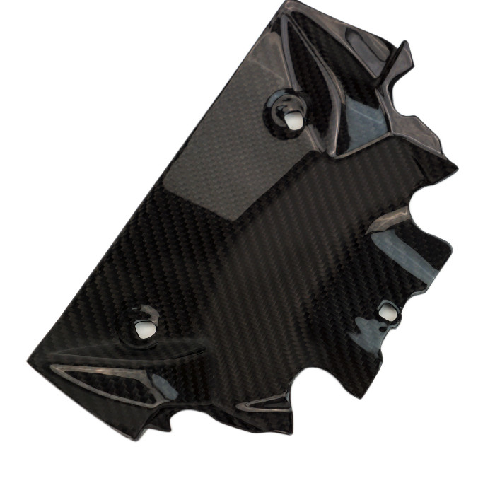 Front Fairing Base in Glossy Twill Weave Carbon Fiber for BMW S1000RR 2025+ 