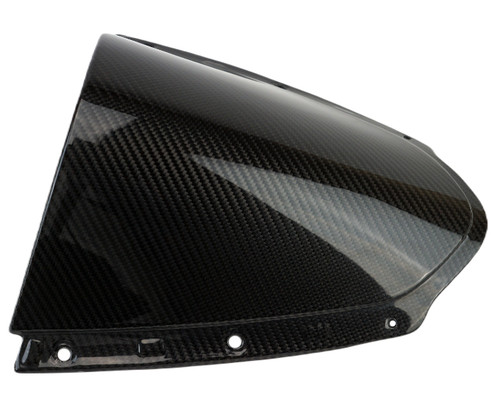 Leading Edges in 100% Carbon Fiber for Kawasaki ZX10R 2021+