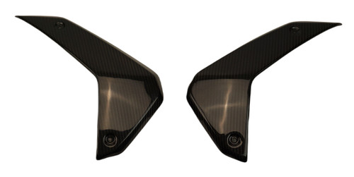 Side Panels in Glossy Twill Weave Carbon Fiber for BMW R1300GS
