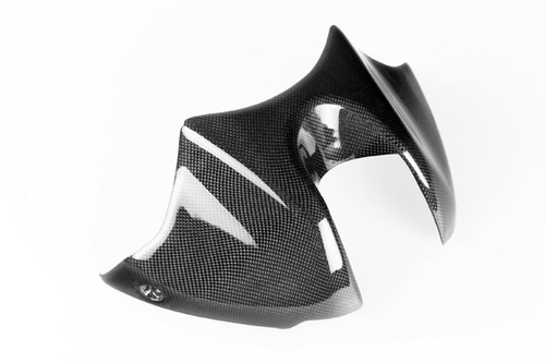 Kawasaki Z100 2010-2013 Carbon Fiber Parts Index. - Page 2