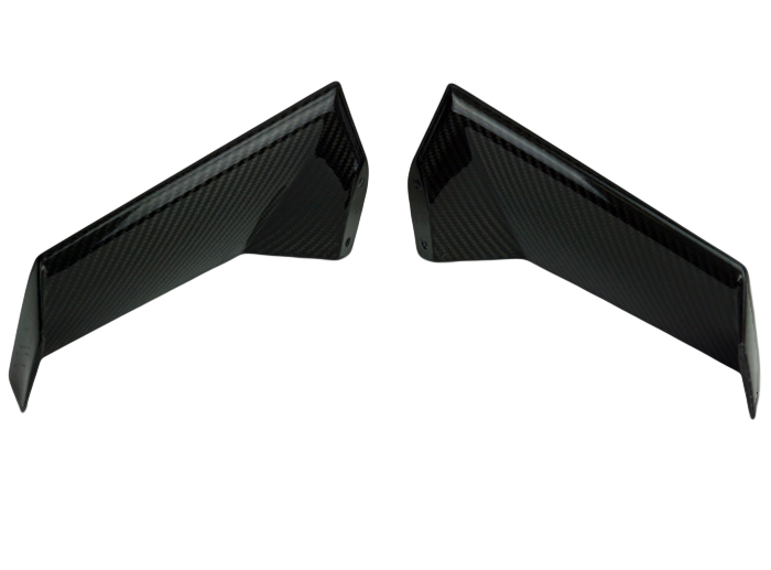 Kawasaki_H2_upper_wings_8_.