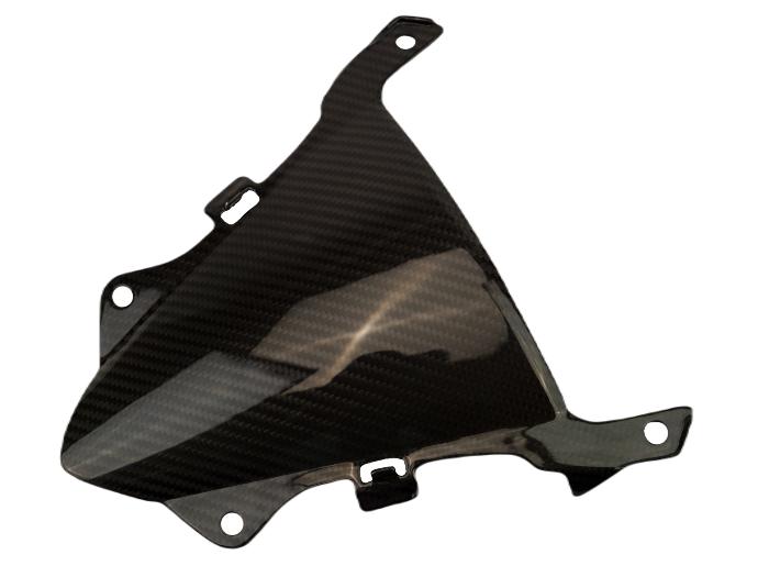 KANNABI Kawasaki_ZX4RR_instruments_cov