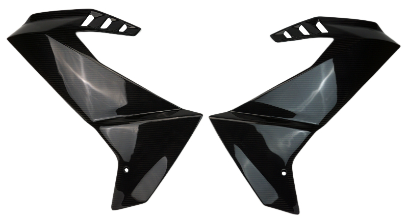aprilia-rs457-large-side-panels-3-.jpg