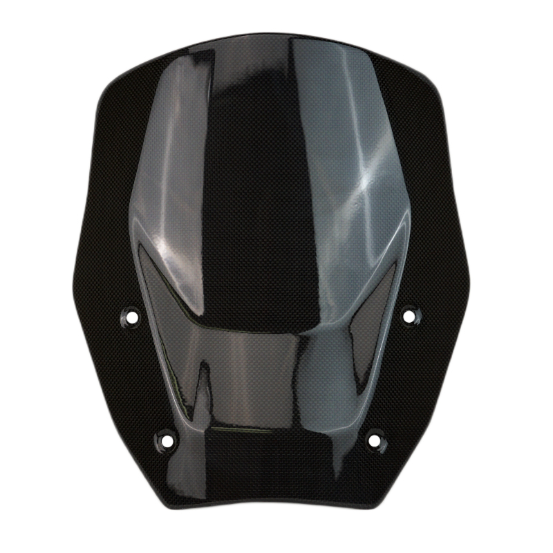 bmwr1300gs-windshield-3-.jpg bmwr1300gs-windshield-3-.jpg