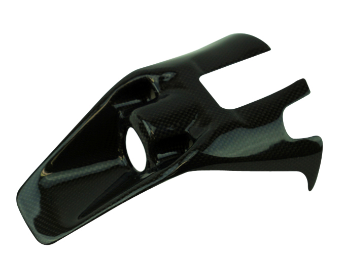 ducati-monster-1200-821-ignition-cover-3-copy.jpg