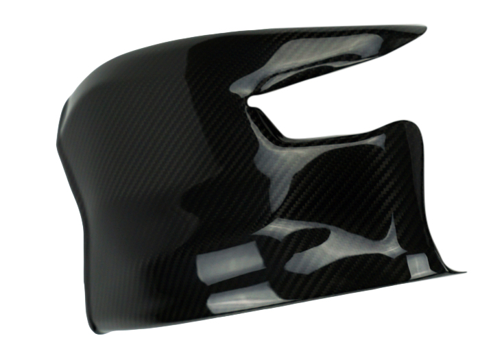 ducati-streetfighter-swingarm-cover-style-2-3-copy.jpg