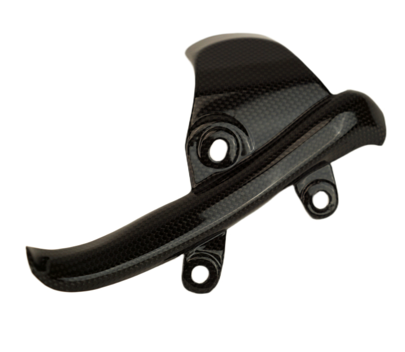 ducati-xdiavel-2025-front-of-swingarm-protector-4-.jpg ducati-xdiavel-2025-front-of-swingarm-protector-4-.jpg