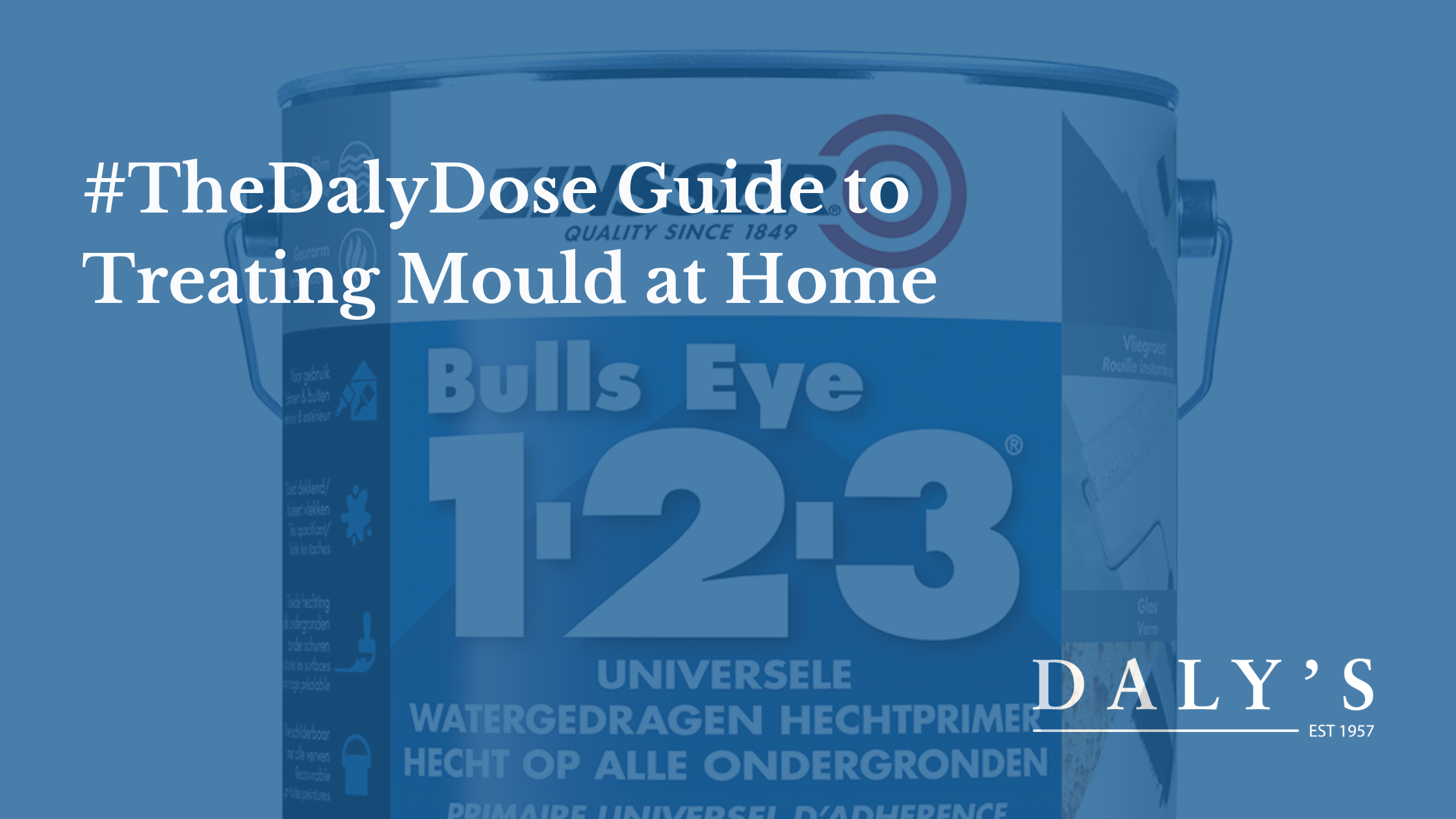 https://cdn11.bigcommerce.com/s-4rvn3h23qy/product_images/uploaded_images/-thedalydose-guide-to-mould.png