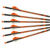 Ravin Crossbows Carbon Crossbow Bolt 20 Length, 2 Vanes with .003 Straightness, Black, Package of 6