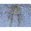 High Speed Gear High Speed Low Drag Suspenders 95HSS0OD