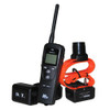 DT Systems Model SPT 2430 w/Beeper - 2 Dog