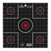 Birchwood Casey Dirty Bird 12"Split 100 Shot Pack