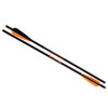 Wicked Ridge Black Aluminum 20" Bolts Vane 72 Pack