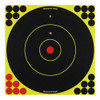 Birchwood Casey Shoot-N-C Targets: Bull's-Eye Per 500