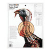 Champion Traps and Targets Turkey Target Lifesize (12 Pack)