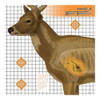 Champion Traps and Targets Deer Target 25x25 (6 Pack)