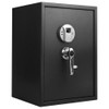 Barska Optics BioMetric Safe Large