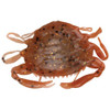 Berkley Gulp! Peeler Crab, 2" New Penny