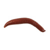 Berkley Gulp! Floating Pinched Crawler, 2" Nightcrawler