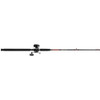 Penn General Purpose Conventional Combo, 2.8:1 Gear Ratio, 66 1pc Rod 15lb Max Drag