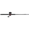Penn Senator Conventional Combo 113. 3.3:1 Gear Ratio, 66 1pc Rod, 20-50 lb Line Rate, Medium/Heavy Power