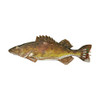 Rivers Edge Products Walleye Cribbage Set W/ Cards