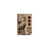 Birchwood Casey Pregame Targets Squirrel, 12" x 18" (Per 100)