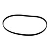 Scotty Depthpower Drive Belt, One Only