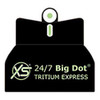 XS Sight Systems XS 24/7 Big Dot Tritium Express Sight Set Sig 1911 RCS