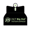 XS Sight Systems XS 24/7 Big Dot Tritium Express Sight Set Sig P220