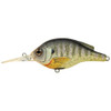 LiveTarget Lures Bluegill Roundbill 2 3/4", Number 4 Hook Size, 5'-6' Depth, Natural/Matte