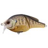LiveTarget Lures Bluegill Wakebait 3", Number 4 Hook Size, 0'-1' Depth, Natural/Matte
