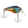 Berkley Wild Thang 8.5, 2 1/4" Length Gilly, Per 1