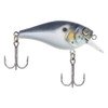 Berkley Pitbull 5.5, 2 3/8" Length Blue Back, Per 1