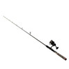 Penn Fierce II Spinning Combo 2000, 6.2:1 Gear Ratio, 66 1 Piece Rod, 4-10 lb Line Rate, Ambidextrous