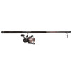 Penn Fierce II Spinning Combo 8000, 5.3:1 Gear Ratio, 10 2pc Rod 20-40lb Line Rate, Heavy Power, Ambidextrous