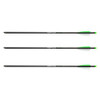 Horton 20" Omni Brite 2.0 Lighted Carbon Arrows 3 Pack