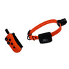 DT Systems "Nick" or Continuous Stimulation Plus
