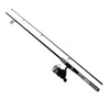 Daiwa D-Shock Freshwater Spinning Combo 2000 Reel Size, 6 Length, 2 Piece Rod, 4-10 Line Rate, Medium/Light Power