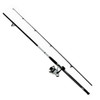 Daiwa D-Wave Saltwater Spinning Combo 1 Bearing, 11 Length, 2 Piece Rod, Medium Power, Fiberglass Blank Material