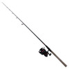 Zebco  Quantum Throttle Spinning Combo Size 40, 5.3:1 Gear Ratio, 11 Bearings, 7 1pc Rod, Medium/Heavy Power