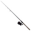 Zebco  Quantum Throttle Series, Spinning, 5.3:1 Gear Ratio, 7 1pc Rod, Medium/Heavy Power