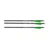 TenPoint Crossbow Technologies Omni-Brite 2.0 Lighted 20" Arrows Plain Carbon, Per 3