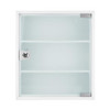 Barska Optics Medical Cabinet Medium