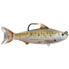 LiveTarget Lures Common Shiner Swimbait Freshwater, 4" Length, 1-12 Depth, 3/4 oz Weight, Silver/Bronze, Per 1