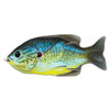 LiveTarget Lures Sunfish Hollow Body Freshwater, 4" Length, 3/4 oz, Topwater Depth, Blue/Yellow Pumpkinseed, Per 1