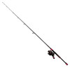 Penn Passion Spinning Combo 5000, 4.6:1 Gear Ratio, 6 Bearings, 7 Length 1pc, Medium Power, Ambidextrous