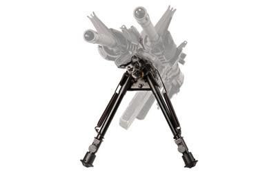 BH SPRTSTR PVT/TRAVS BI-POD 9-13